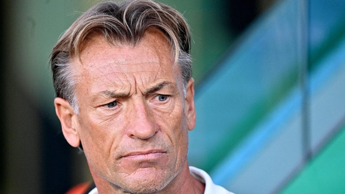 Renard en Tunisie - reconstruire avant qu'il ne soit trop tard